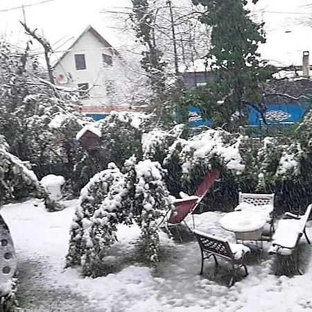 فندق Butik Masukiye Himmetli