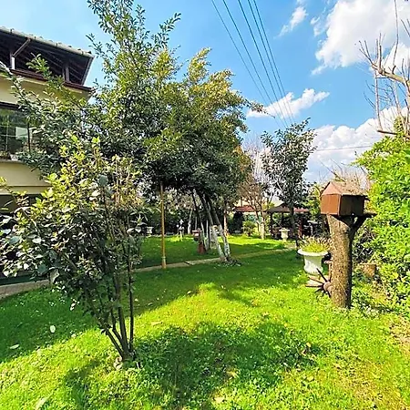 Hotel Butik Masukiye Himmetli